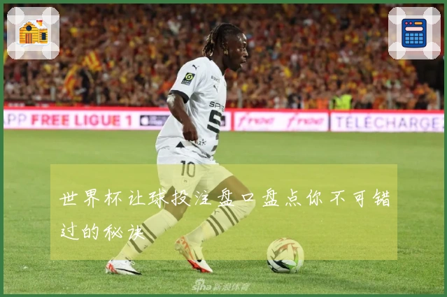 世界杯让球投注盘口盘点你不可错过的秘诀
