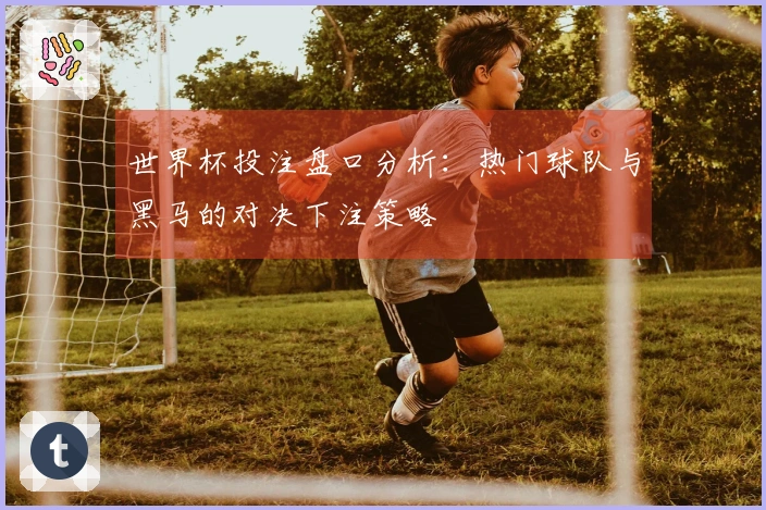 世界杯投注盘口分析：热门球队与黑马的对决下注策略