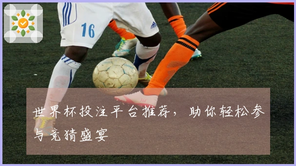 世界杯投注平台推荐，助你轻松参与竞猜盛宴