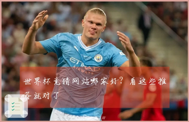 世界杯竞猜网站哪家好？看这些推荐就对了