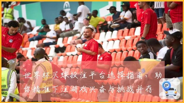 世界杯买球投注平台选择指南，助你精准下注游戏兴奋与挑战并存