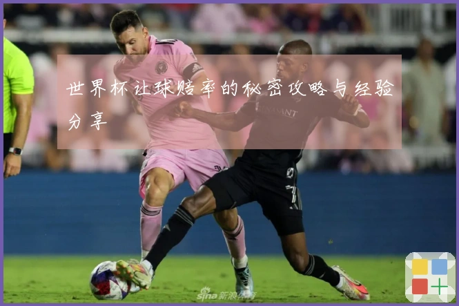 世界杯让球赔率的秘密攻略与经验分享