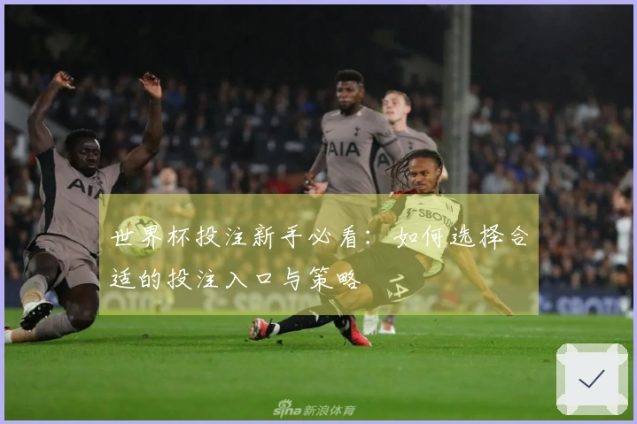 世界杯投注新手必看：如何选择合适的投注入口与策略