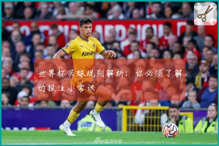 世界杯买球规则解析：你必须了解的投注小常识