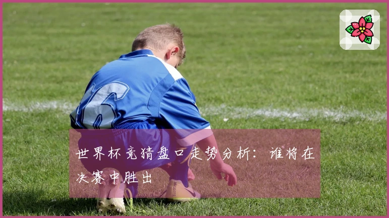 世界杯竞猜盘口走势分析：谁将在决赛中胜出