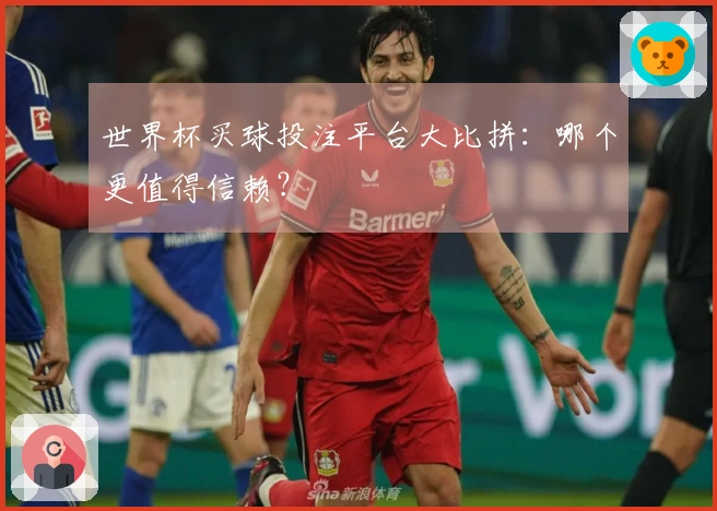 世界杯买球投注平台大比拼：哪个更值得信赖？