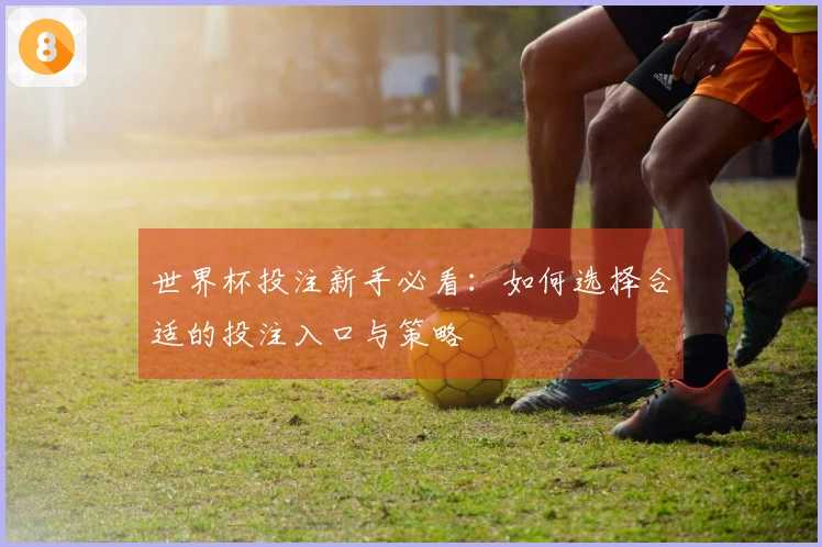 世界杯投注新手必看：如何选择合适的投注入口与策略