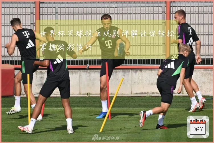 世界杯买球投注规则详解让你轻松掌握购彩技巧