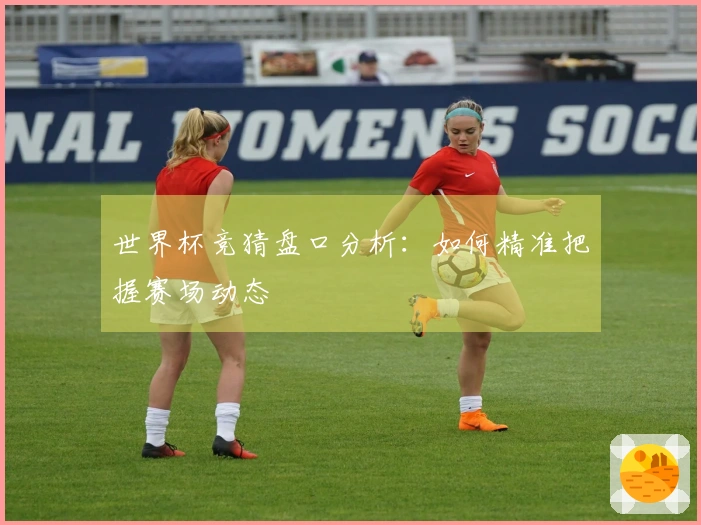 世界杯竞猜盘口分析：如何精准把握赛场动态