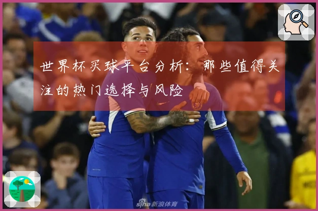 世界杯买球平台分析：那些值得关注的热门选择与风险