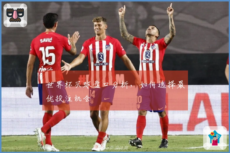 世界杯买球盘口分析，如何选择最优投注机会