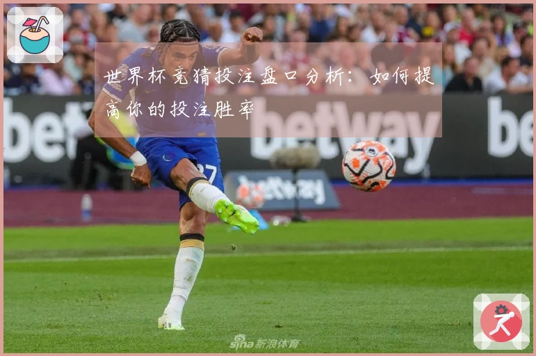 世界杯竞猜投注盘口分析：如何提高你的投注胜率