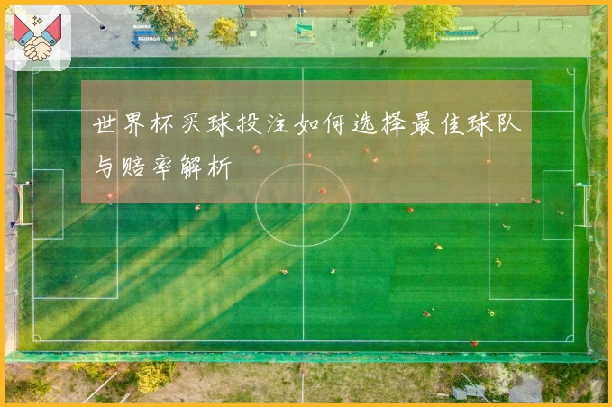 世界杯买球投注如何选择最佳球队与赔率解析