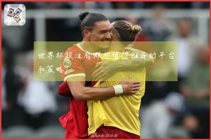 世界杯投注有哪些值得推荐的平台和策略？