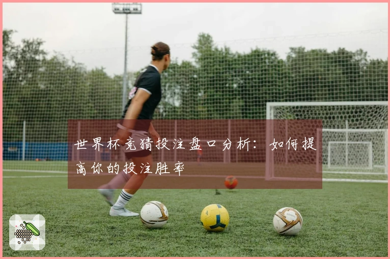 世界杯竞猜投注盘口分析：如何提高你的投注胜率