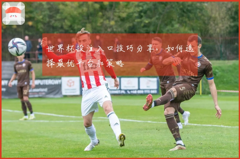 世界杯投注入口技巧分享，如何选择最优平台和策略