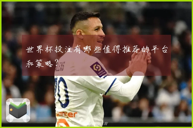 世界杯投注有哪些值得推荐的平台和策略？