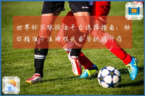 世界杯买球投注平台选择指南，助你精准下注游戏兴奋与挑战并存